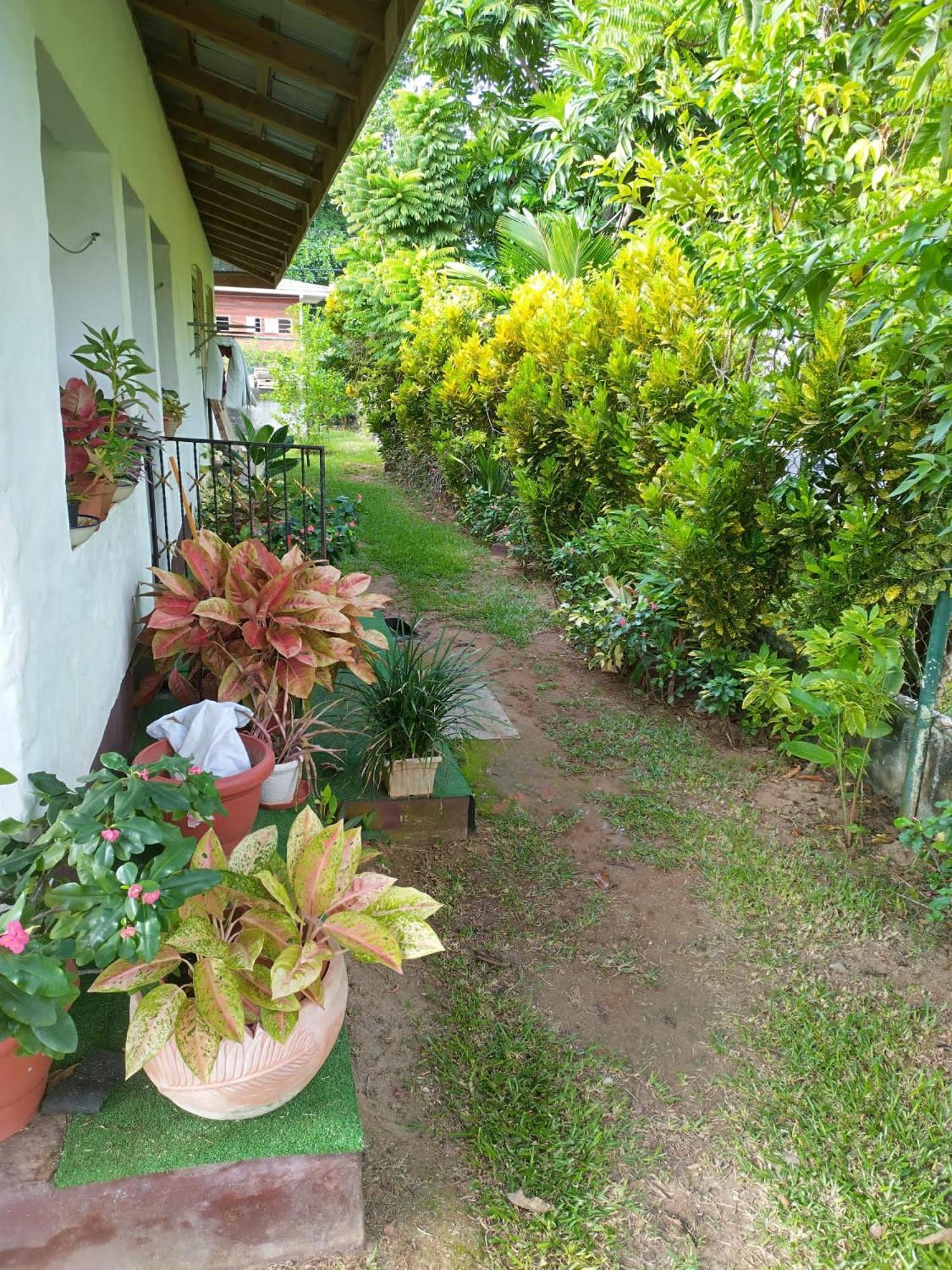 Appartement Hcs Turtle Bay Rustic