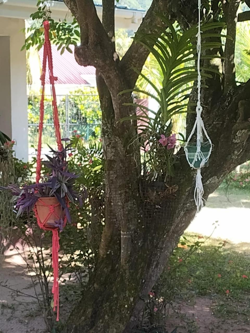 Apartamento Hcs Turtle Bay Rustic Au Cap