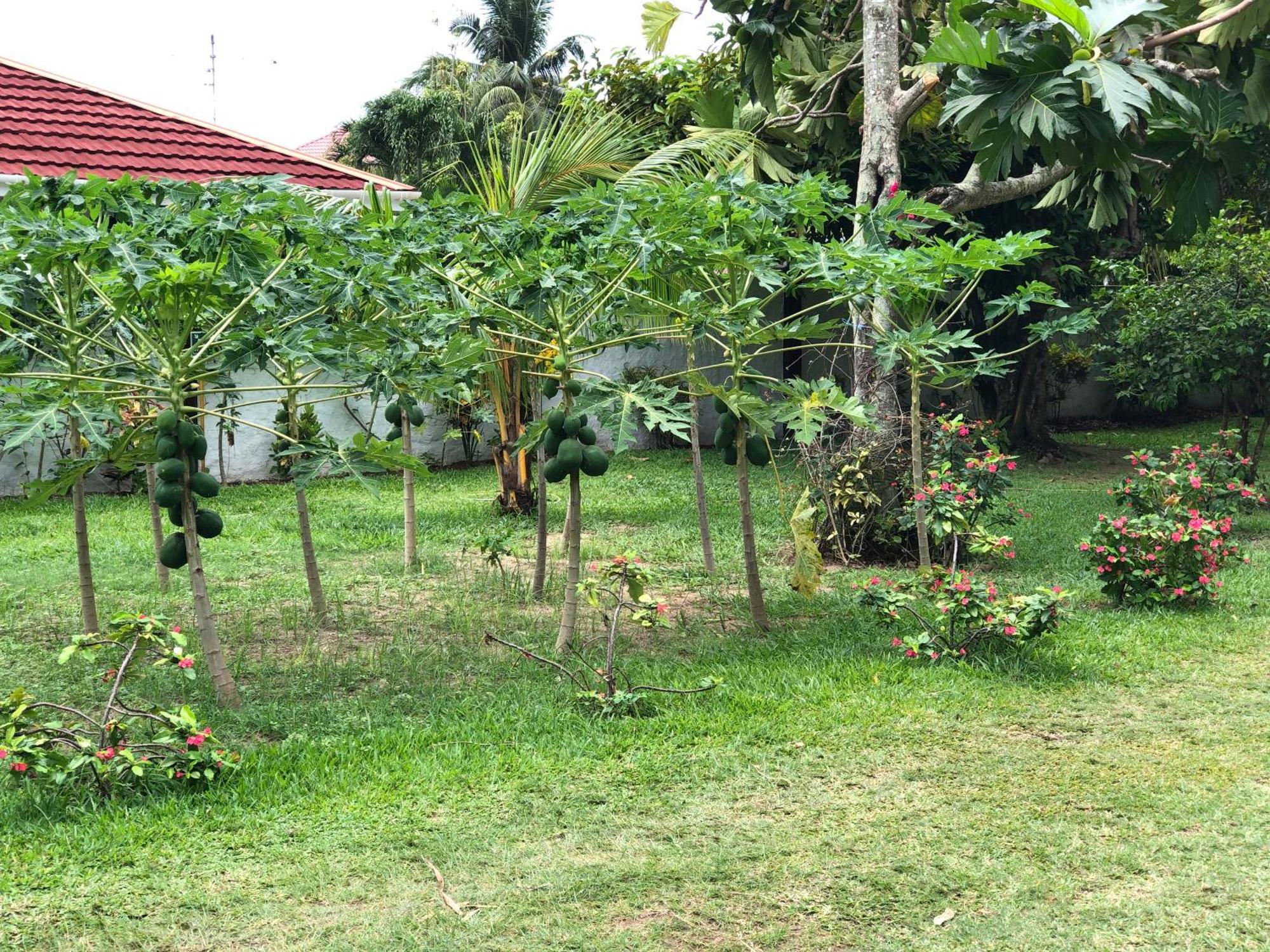 Hcs Turtle Bay Rustic Apartment Au Cap